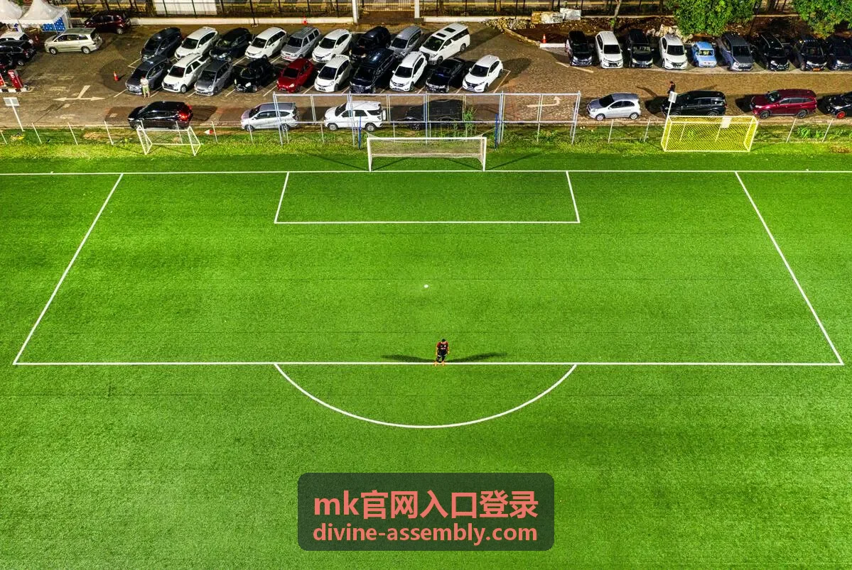 mk官网入口登录登录记录与常用设备核对页面示意