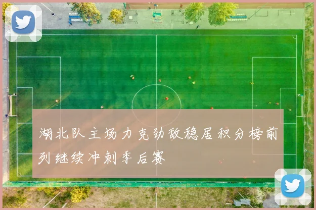 湖北队主场力克劲敌稳居积分榜前列继续冲刺季后赛